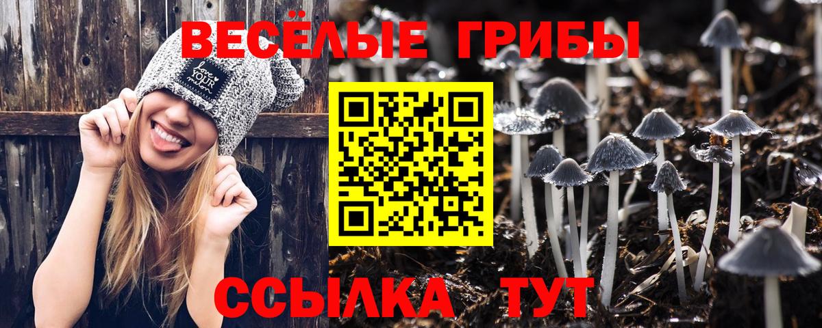Галлюциногенные грибы GOLDEN TEACHER Ахтубинск